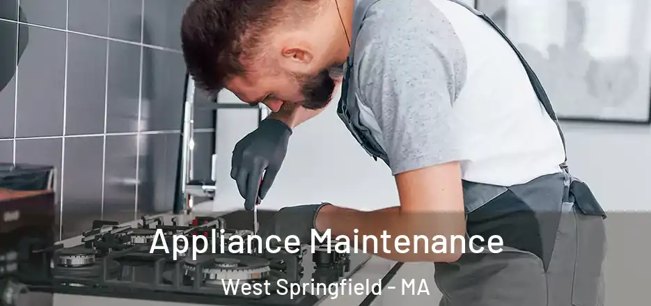  Appliance Maintenance West Springfield - MA