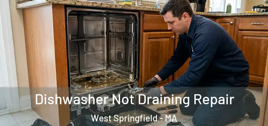 Dishwasher Not Draining Repair West Springfield - MA