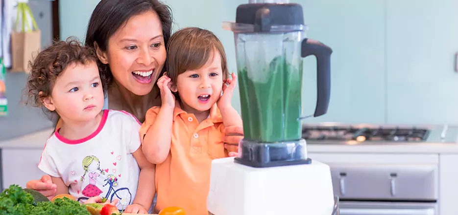 Juicer and Mixer Blender Repair in West Springfield 