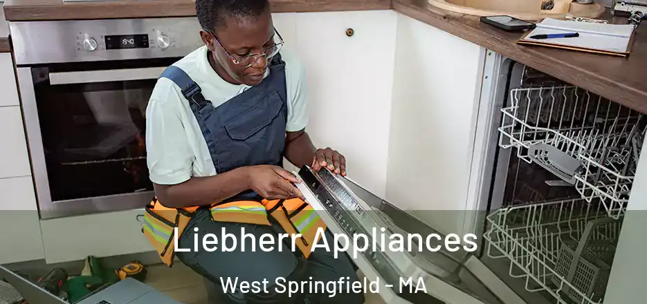  Liebherr Appliances West Springfield - MA