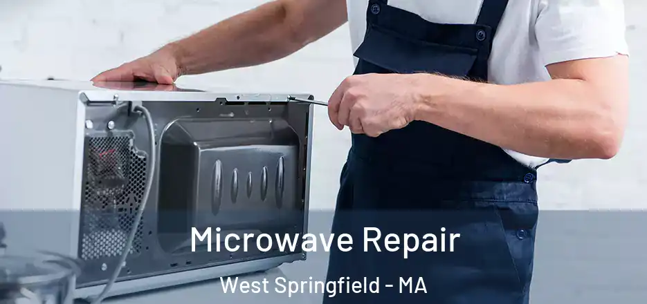 Microwave Repair West Springfield - MA