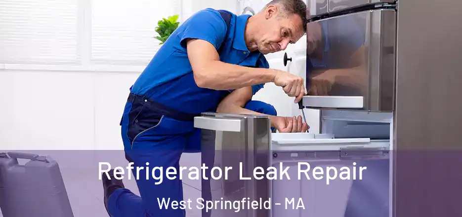  Refrigerator Leak Repair West Springfield - MA